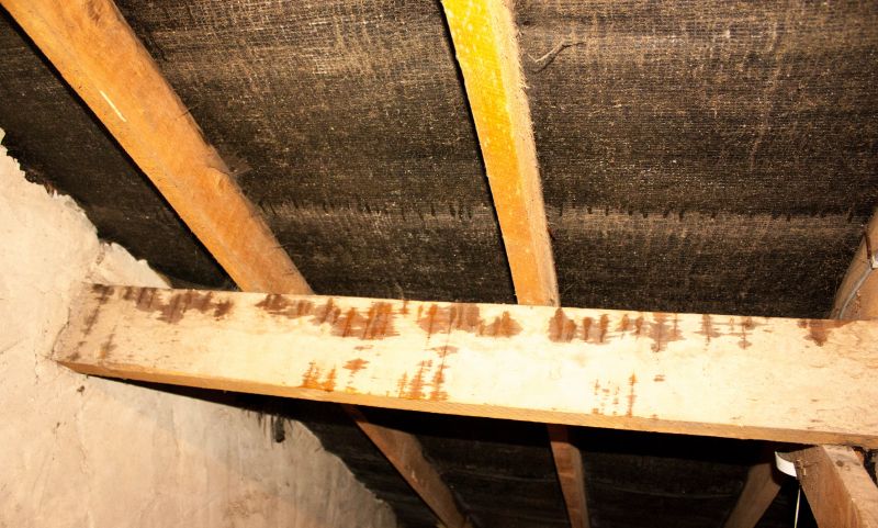 Bathroom Water Damage Repair in Houston, TX